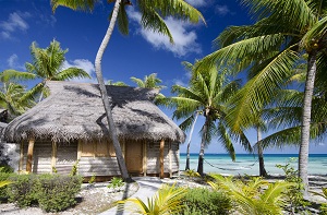 https://tahititourisme.travel/wp-content/uploads/2019/05/2013_TIH_H_Tikehau-Resort-beach-bung-small.jpg