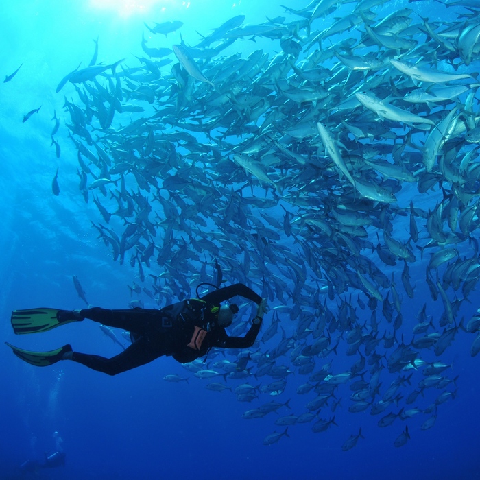 Séjour plongée 3 atolls aux Tuamotu