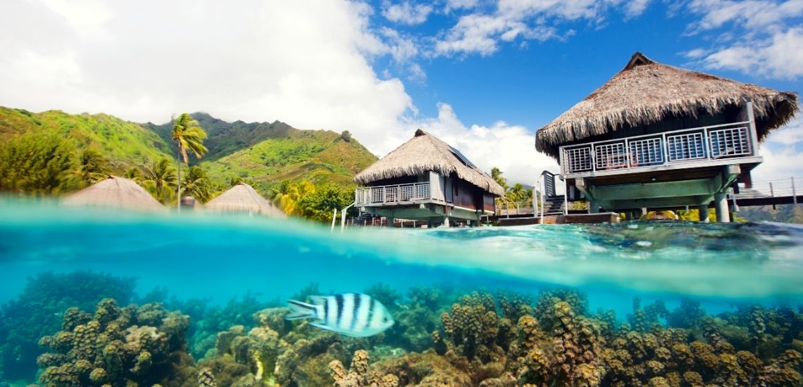 https://tahititourisme.travel/wp-content/uploads/2023/04/99-1.jpg