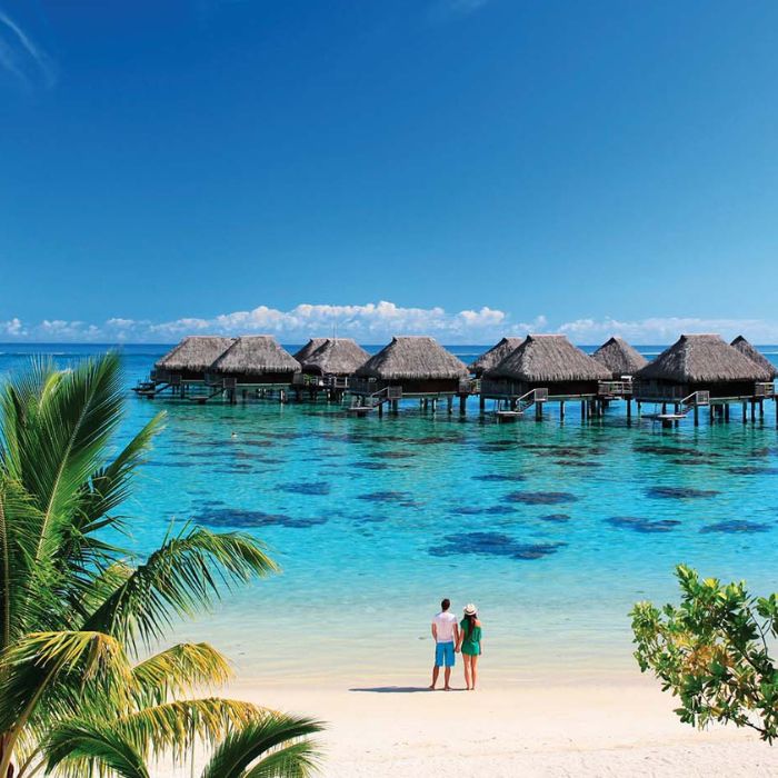 Séjour Luxe Polynésie – Hôtel Hilton Moorea Lagoon Resort & Spa 5*