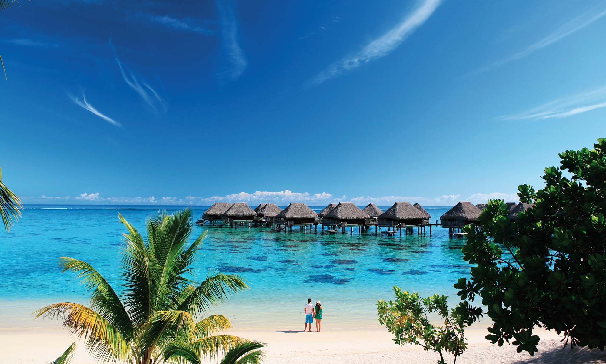 https://tahititourisme.travel/wp-content/uploads/2023/04/Hilton-Moorea-Overwater-Bungalows-2000x1200-3_29576.jpg