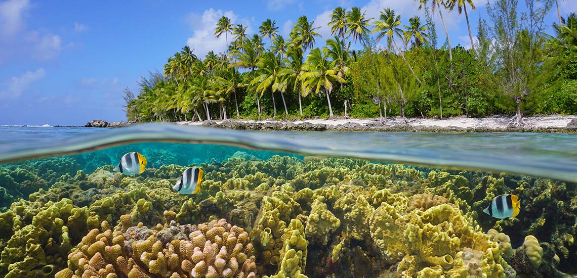 https://tahititourisme.travel/wp-content/uploads/2023/07/shutterstock_2292736169_polinesia_francesa.jpg